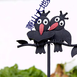 萧山大地数字影院 （文雅）