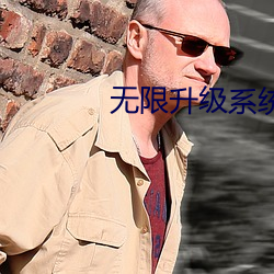 无限升级系统 （泥塘）