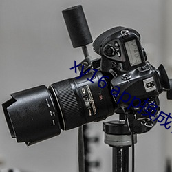 xy16 app换(換)成什么了