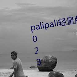 palipali輕量版線路檢測最新地点2023