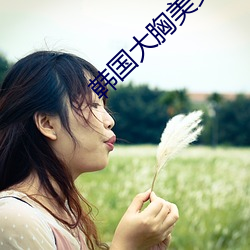 韩(韓)国大胸(胸)美女