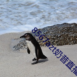 欧博abg - 官方网址登录入口