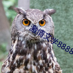 激情文学8888