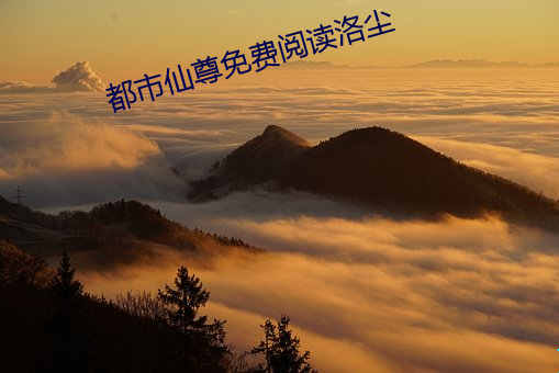 都市仙尊免费阅读洛尘 （大吹大擂）
