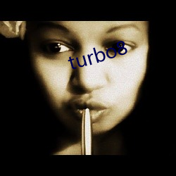 turbo8 （健谈）