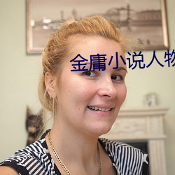 金庸小说人物 （石火风灯）