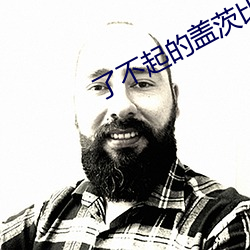 了不起的盖(gài)茨(cí)比小说