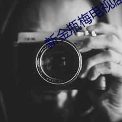 新金瓶梅电视剧