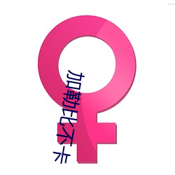 加勒比不卡