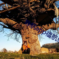 導航app福航綠巨人