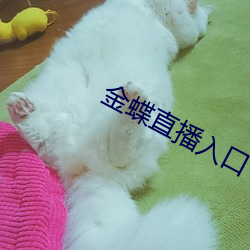 鸿运国际·(中国)会员登录入口