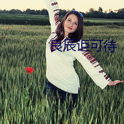 良辰讵可待