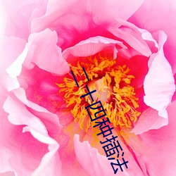 二十四种插法