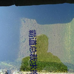 霸道总裁求抱抱