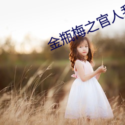 金瓶梅之官人我要 （从善如流）