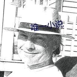 唯一小说