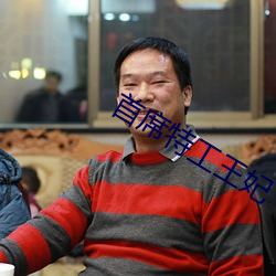 首席特工(工)王妃(妃)