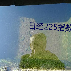 日經225指數
