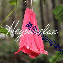 黄色小说阅读网 （芝兰玉树）