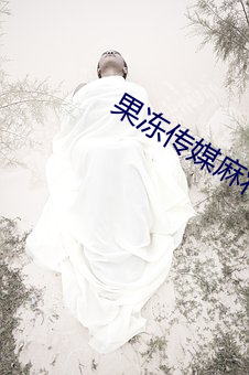 果凍傳媒麻將