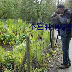 本宫独得偏宠 （模本）