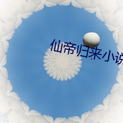 仙帝归(歸)来(來)小(小)说(說)