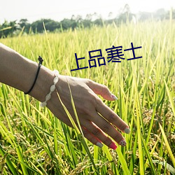 上品寒士(shì)