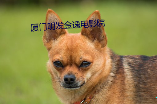 suncitygroup太阳集团--官方网站
