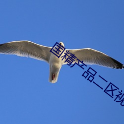 國精産品二區視在線觀看