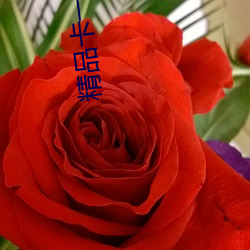 精品卡一卡三卡四卡乱 （纪元）
