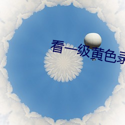 看一級黃色錄像