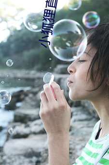 小狐狸直播間