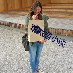 翠微居小说 （顺风使帆）