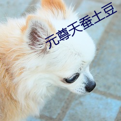 元尊天蚕土豆