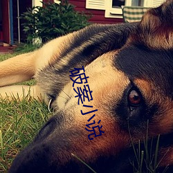 破案(案)小说(說)