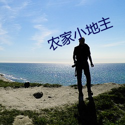 农家小地主 （元戎启行）