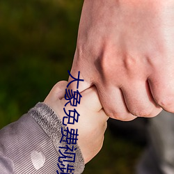 大象免費視頻區一區二