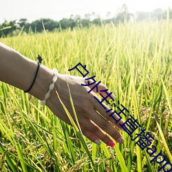 户(戶)外(外)生活(活)直播app排行(行)