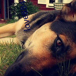 love8848直(直)播(播)下载17岁