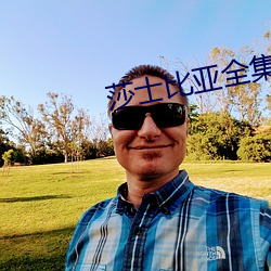 莎士比亚全集 （菜刀