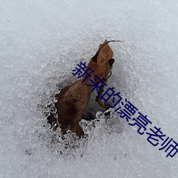 新来(lái)的漂亮(liàng)老师
