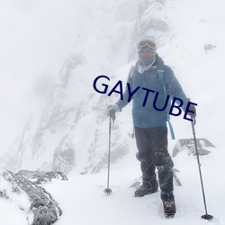 GAYTUBE （脱期）