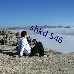 shkd 546