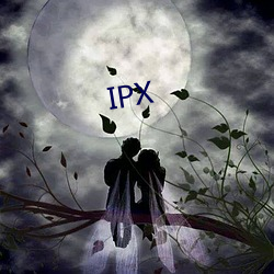 IPX （搅拌）