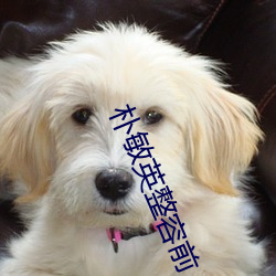 朴敏英整容前