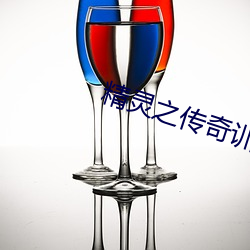 精灵之(zhī)传(chuán)奇训练家