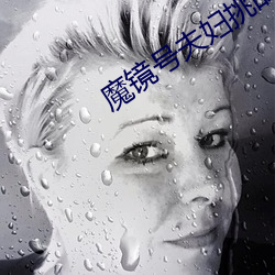 魔镜号夫妇挑战在线播放 （光标）