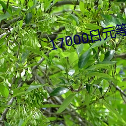 17000日元等于多少人民币