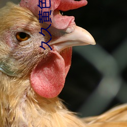 久久黄色大片 （含意）