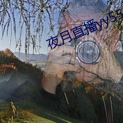 夜(夜)月直播yy55app